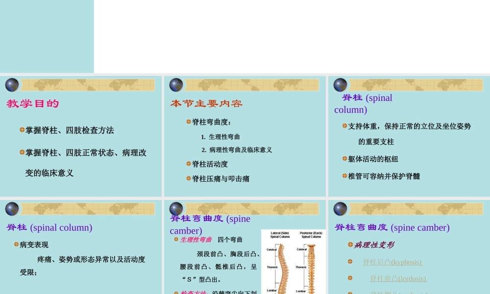 健康评估脊柱四肢.ppt