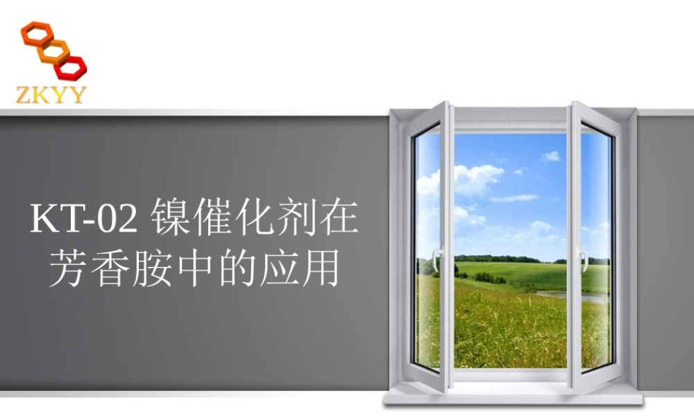 催化剂会议-甘肃中科药源.ppt