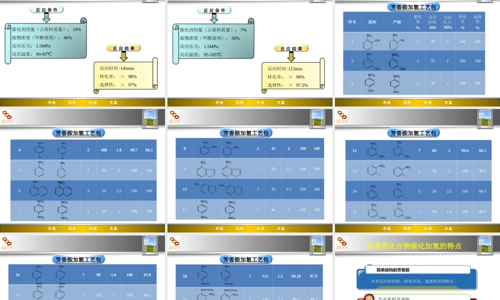 催化剂会议-甘肃中科药源.ppt
