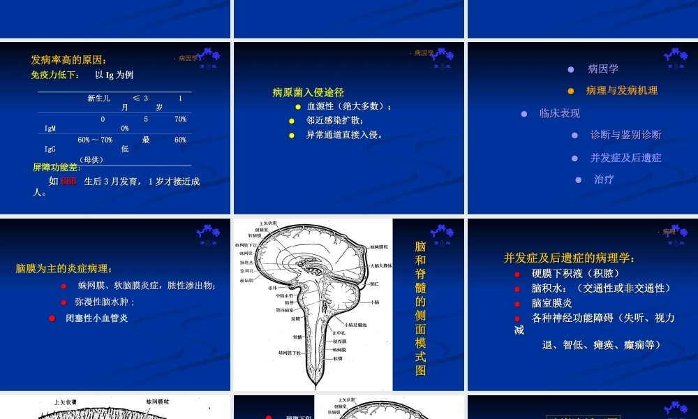 儿科脑膜炎教学.ppt