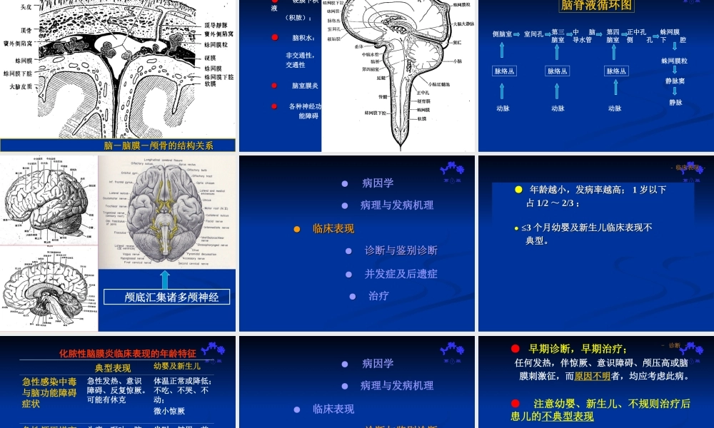 儿科脑膜炎教学.ppt
