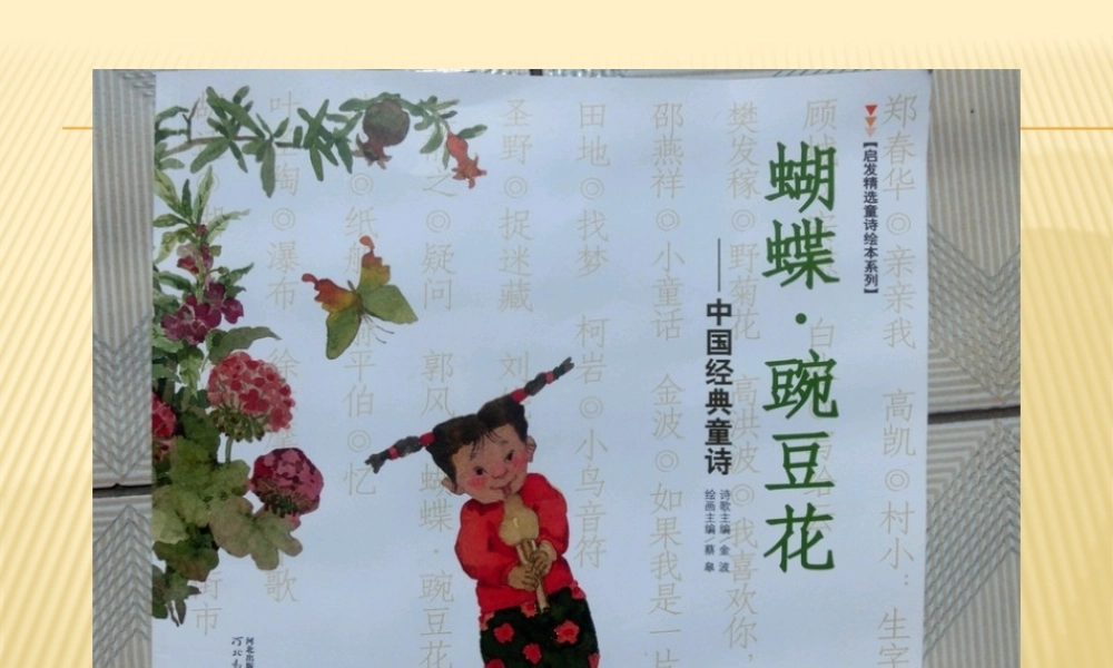 儿童诗集：蝴蝶豌豆花.pptx