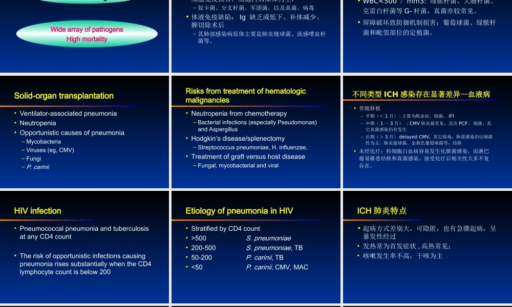 免疫抑制肺炎概要.ppt