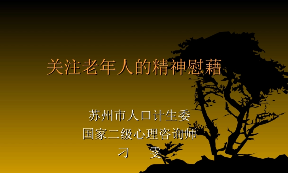 关注老年人的精神慰藉.ppt
