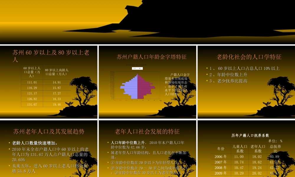 关注老年人的精神慰藉.ppt