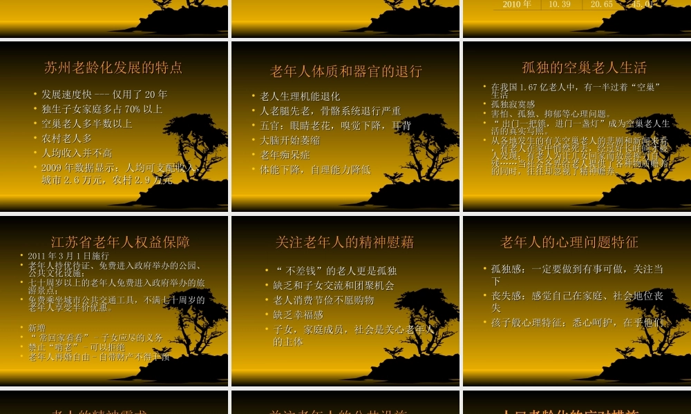 关注老年人的精神慰藉.ppt