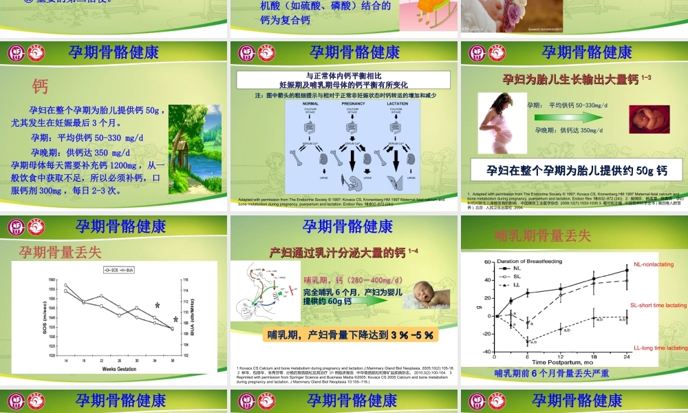 关爱母婴骨骼与牙齿健康(一).ppt
