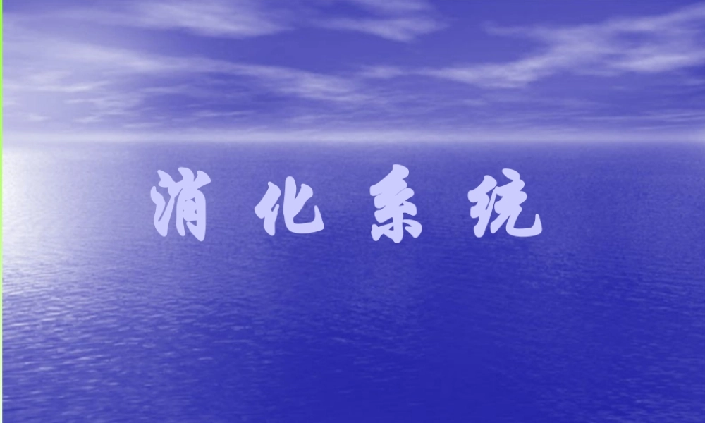 内总、消化、呼吸.ppt