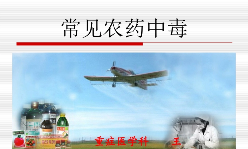 农药中毒讲稿.ppt