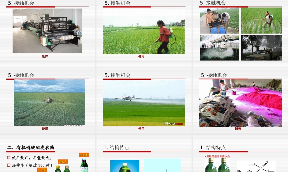 农药中毒讲稿.ppt