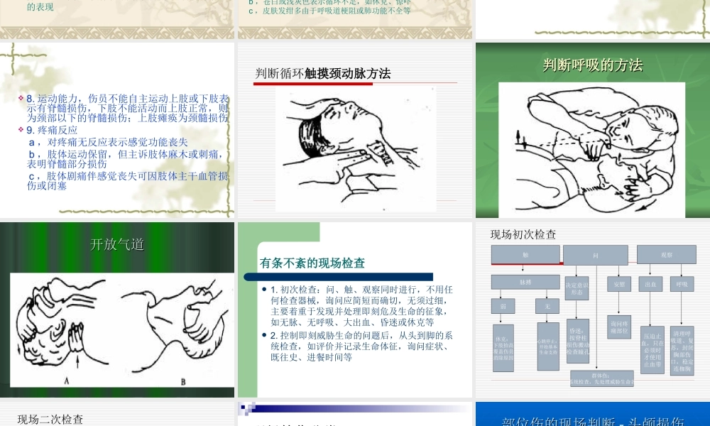 创伤急救基本原则.ppt