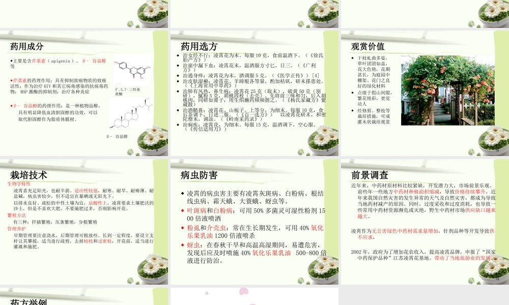 凌霄的药用资源...ppt