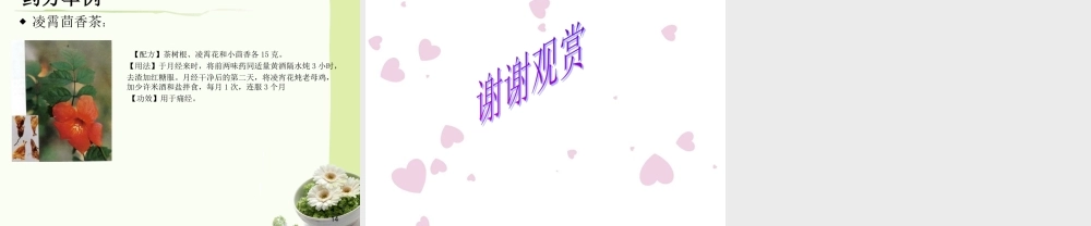 凌霄的药用资源...ppt