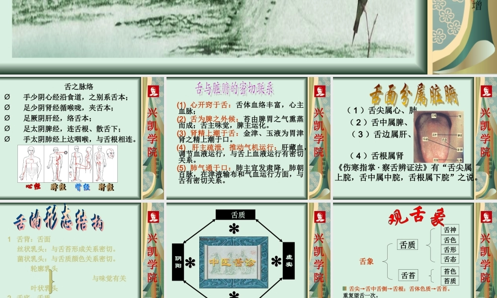 刘教授教你舌诊.ppt