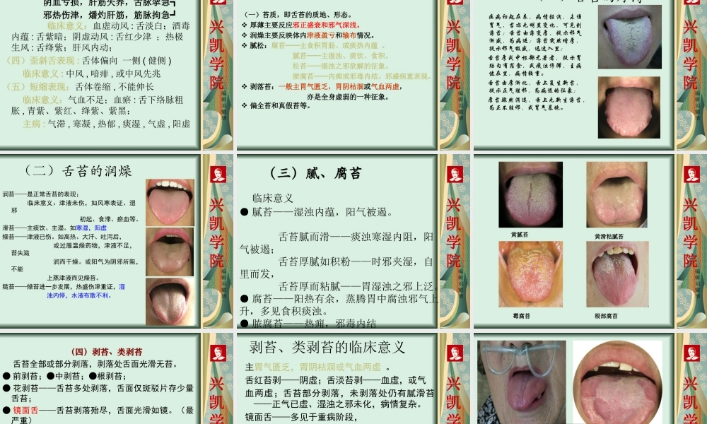 刘教授教你舌诊.ppt