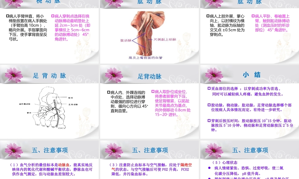 动脉血气分析的采集.ppt