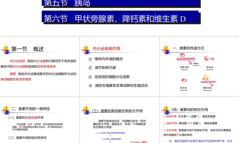 内分泌PPT.pptx