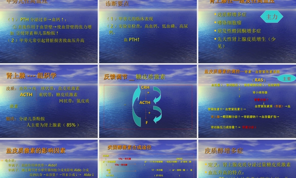 内分泌性高血压-2010.ppt