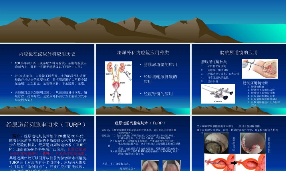 内镜在泌尿外科的应用.ppt