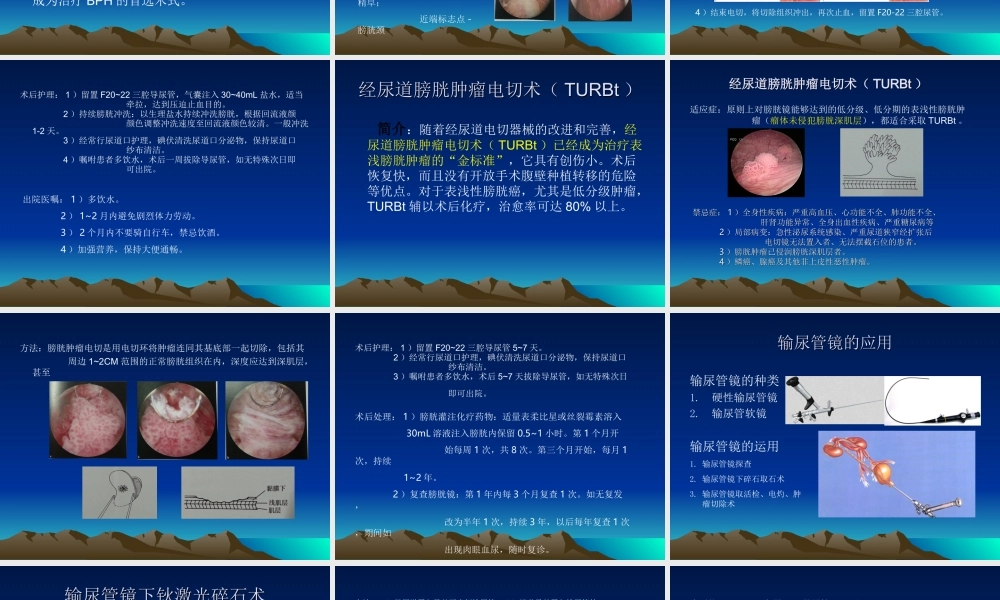 内镜在泌尿外科的应用.ppt