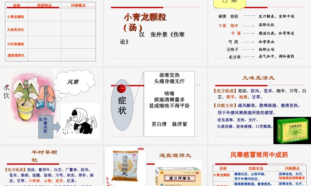 中成药用药指导01解表中成药.ppt