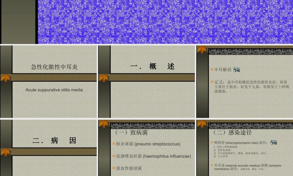 化-脓-性-中-耳-炎.ppt