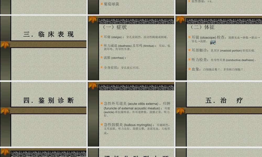 化-脓-性-中-耳-炎.ppt