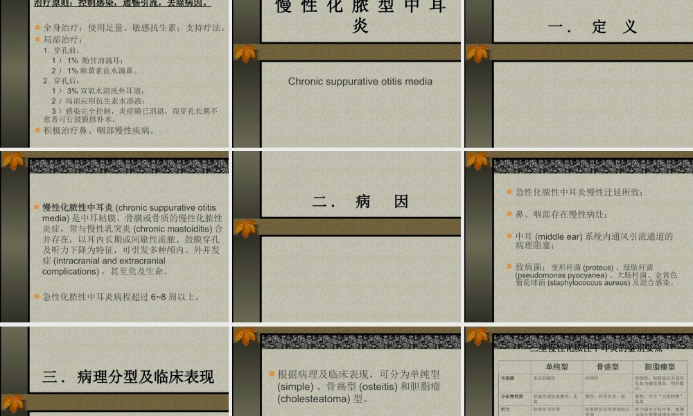 化-脓-性-中-耳-炎.ppt