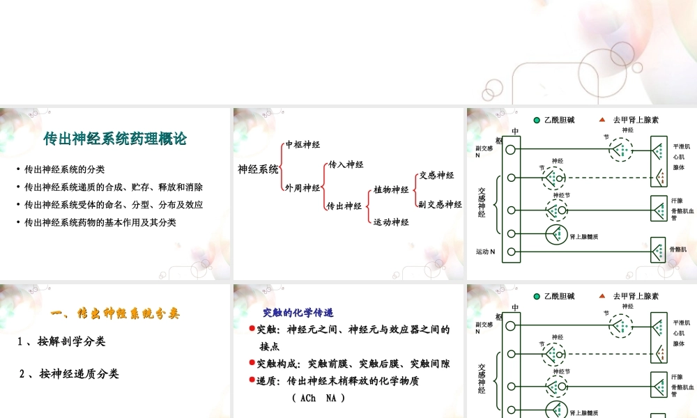 六拟胆碱药与抗胆碱药制剂.ppt