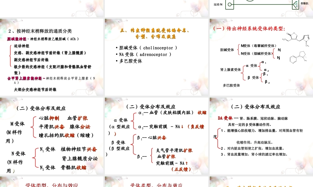 六拟胆碱药与抗胆碱药制剂.ppt