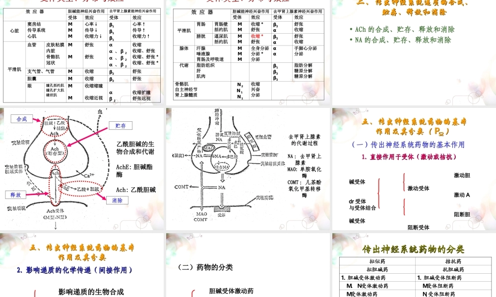 六拟胆碱药与抗胆碱药制剂.ppt