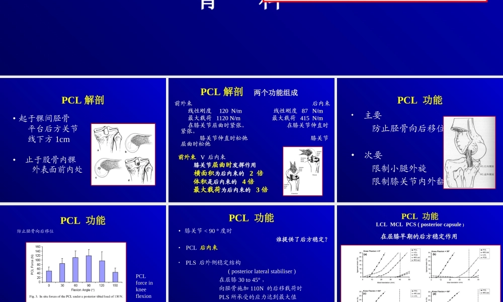 关节镜下的后交叉韧带重建术.ppt