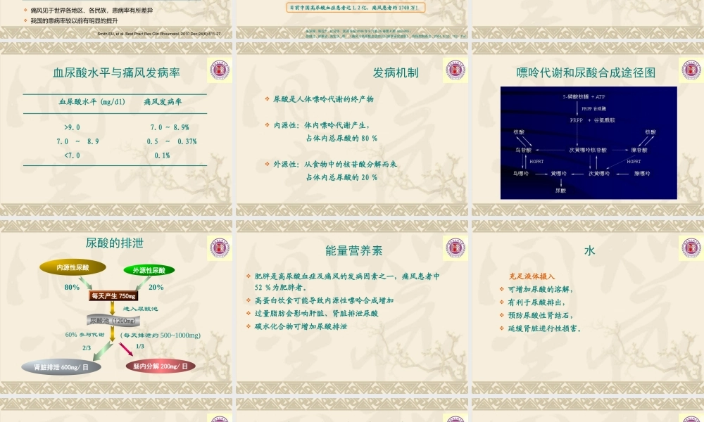 刘抗寒---高尿酸血症--健康讲座.ppt