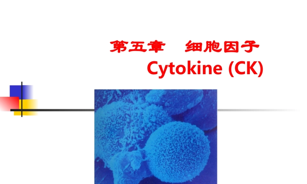 免疫学细胞因子PPT.ppt