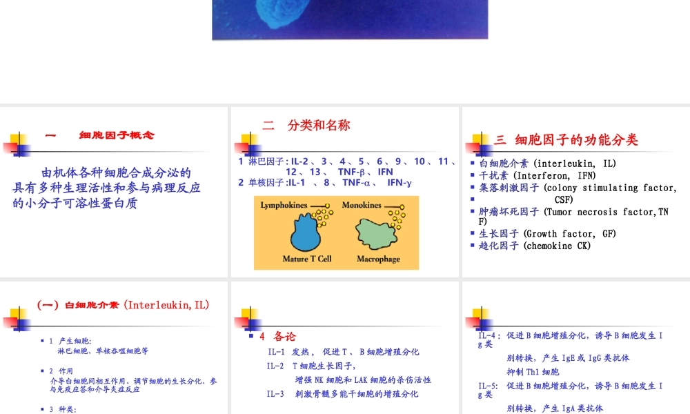 免疫学细胞因子PPT.ppt