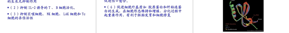 免疫学细胞因子PPT.ppt