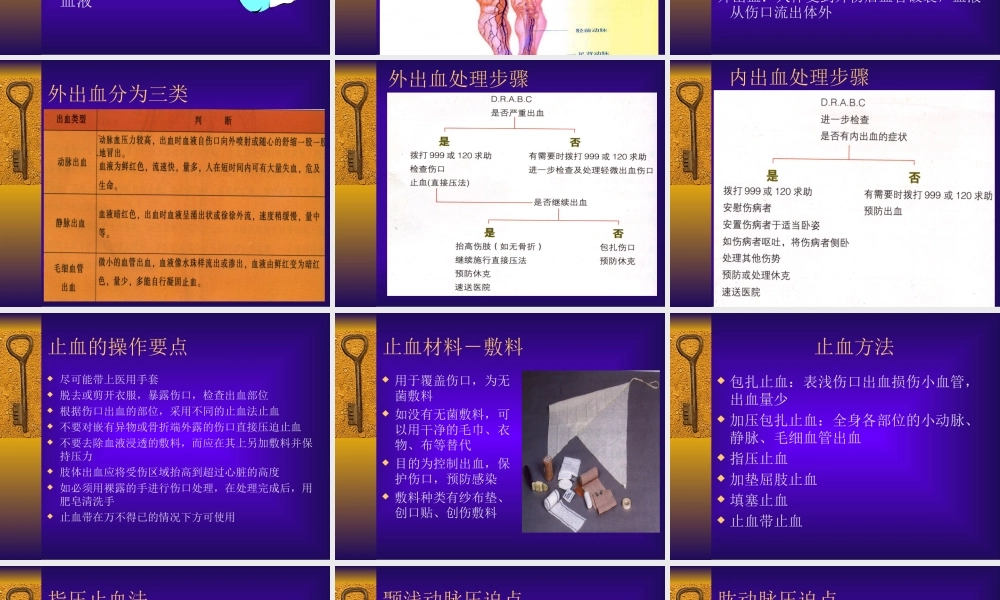 创伤救护陪训.ppt
