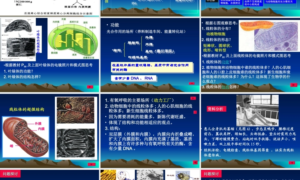 分工与合作--细胞器3.2ppt.ppt