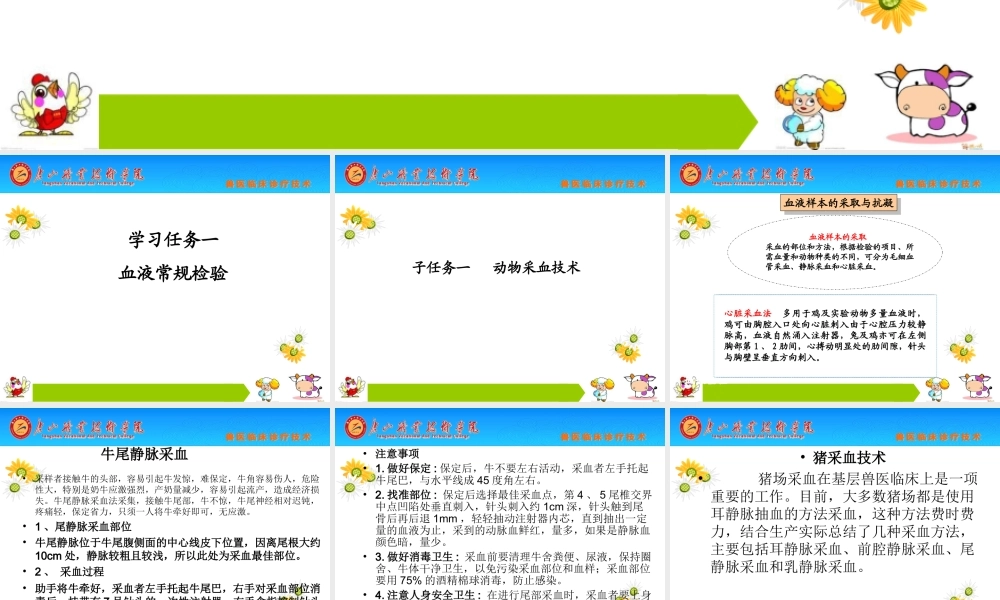 动物采血技术及血液常规检验.ppt
