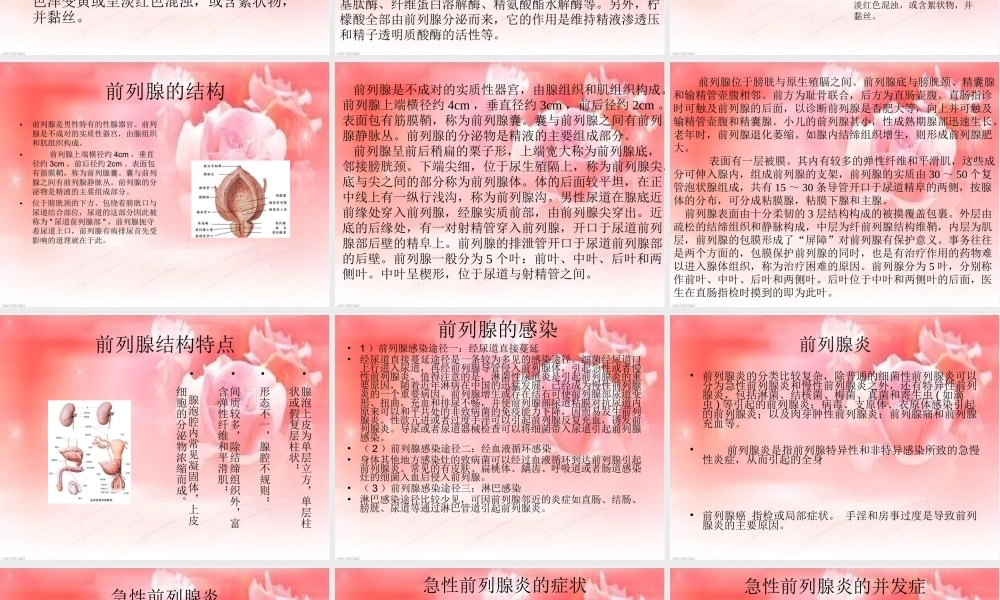 前列腺与生命的关系.ppt