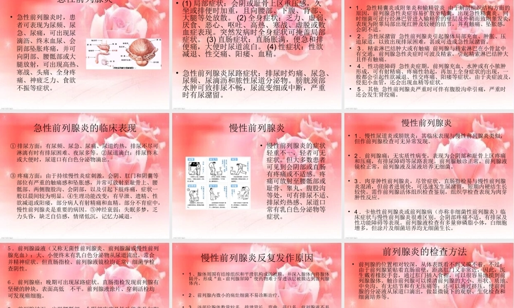 前列腺与生命的关系.ppt