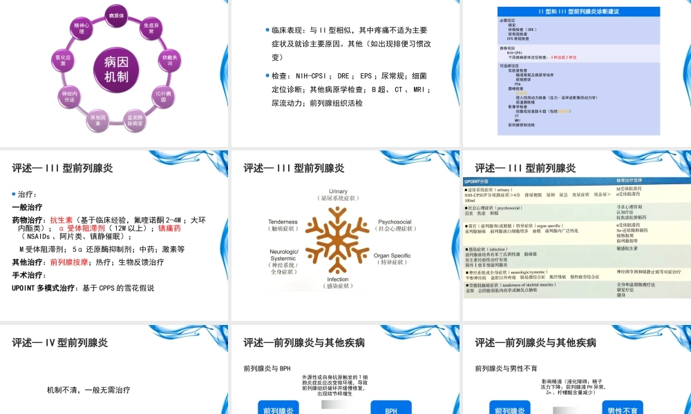 前列腺炎评述2017.ppt