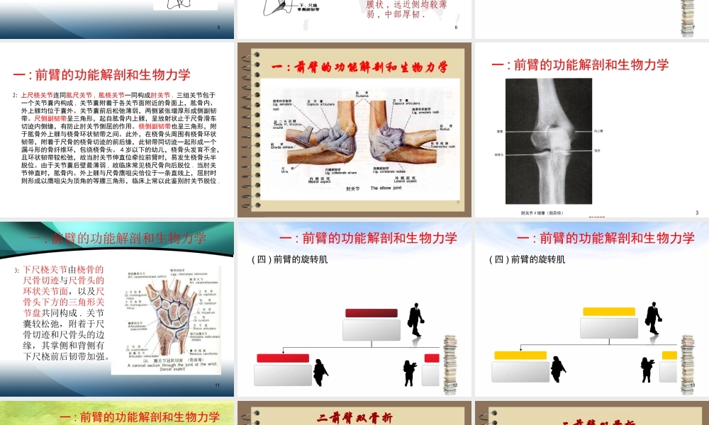 前臂骨折.ppt.ppt