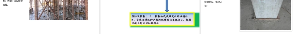主体工程质量通病防治.pptx