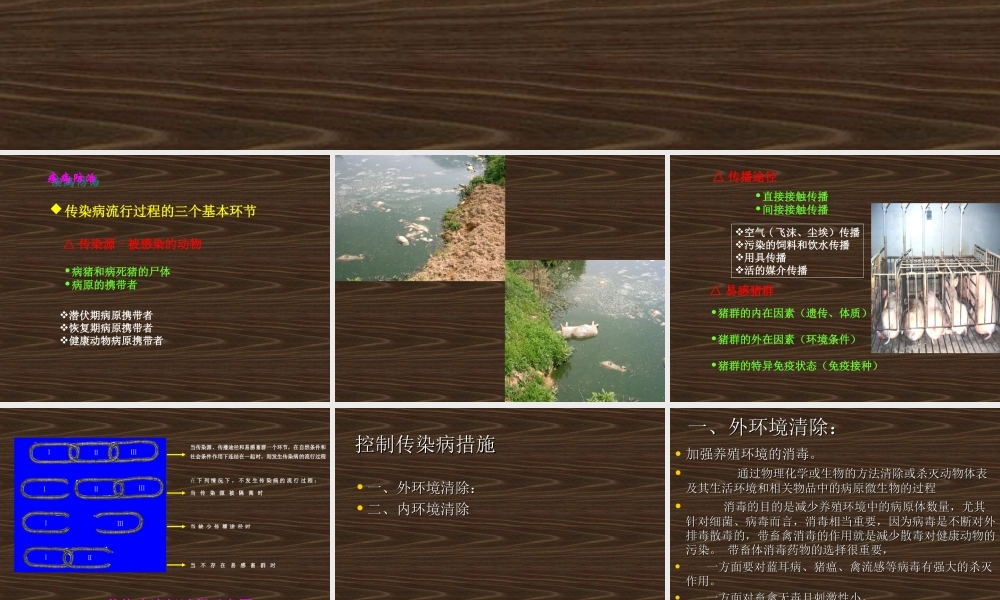 动物消毒和免疫.ppt