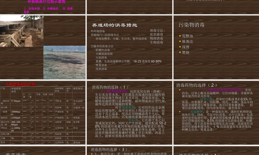 动物消毒和免疫.ppt