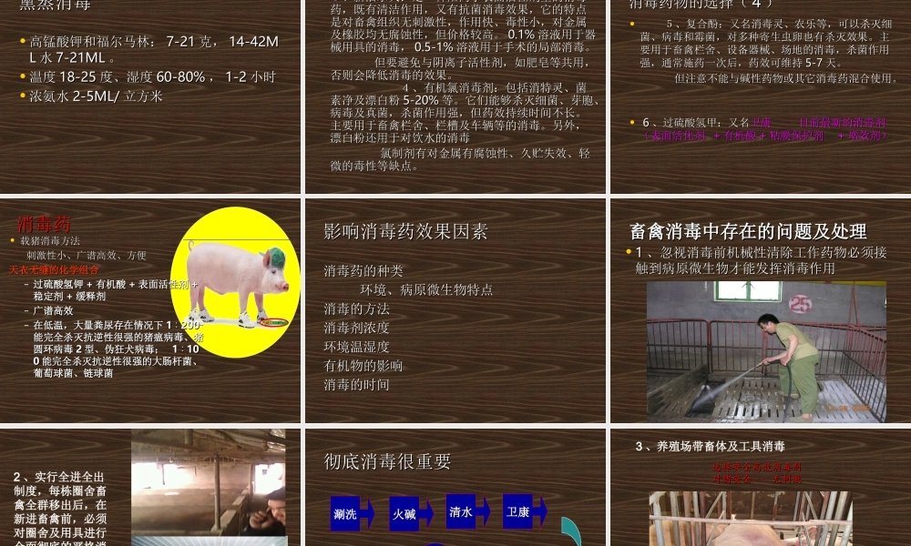动物消毒和免疫.ppt