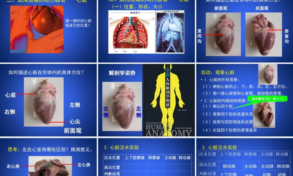 北师大版-血液循环.ppt