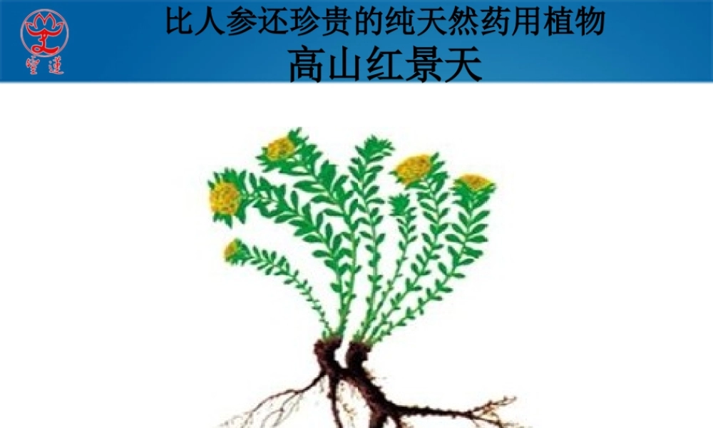 医书药典记载的红景天.ppt