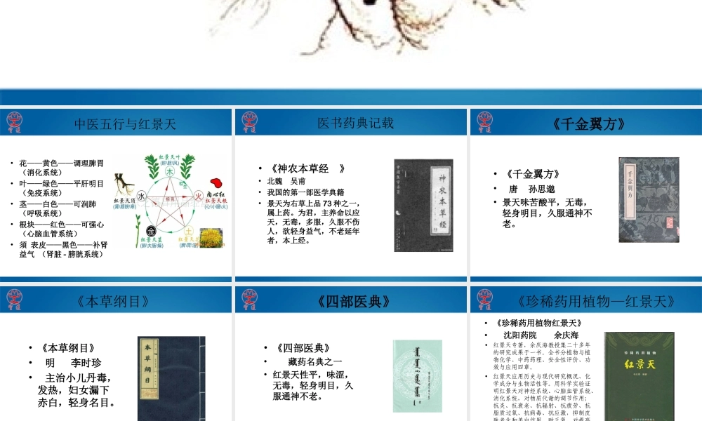 医书药典记载的红景天.ppt